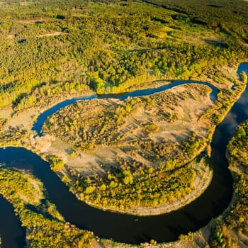 Aerial View Green Forest Woods And River Landscape In Sunny Spring Summer Day. Top View Of Beautiful European Nature From High Attitude In Autumn Season. Drone View. Bird's Eye View.