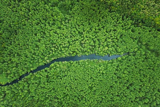Elevated View Of Green Small Bog Marsh Swamp River Wetland And Green Forest Landscape In Summer Day. Attitude View. Forest In Bird's Eye View.