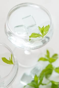 Transparent cocktail with ice cubes in a glass decorated with mint leaves close up. Tropical drink at the bar. Summer vacation mood. Analcolic mocktail drink