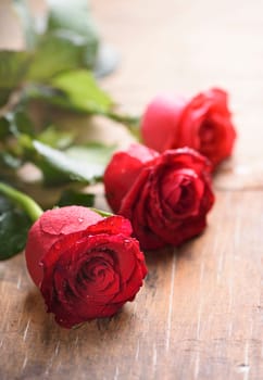 Beautiful red valentines day roses with water drops on wooden background. Love and romance concept.