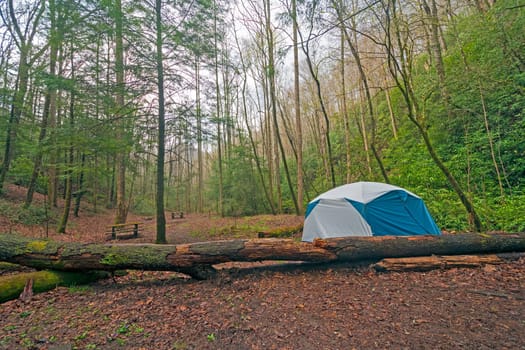 Quiet Campsite in the Appalachian Mountains in Spring in the Great Smoky Mountains National Park in North Carolina