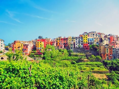 Village Corniglia on Italian Coast
