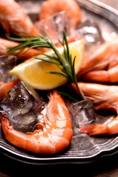 Fresh shrimps with rosemary spices and lemon on ice in silver plate. Closeup of seafood ingredients.