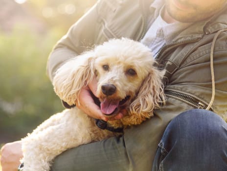 Man with his dog playing in the park