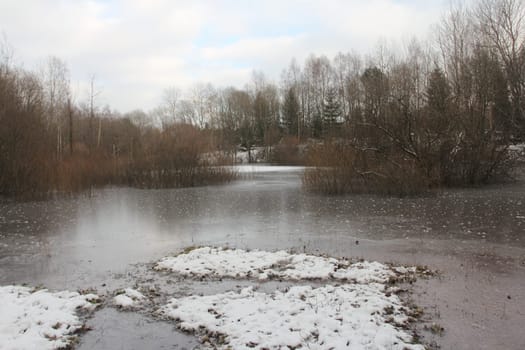 Detail view of a small romantic lake, with trees.Detailansicht von einem kleinen romantischen See, mit Baumbestand.
