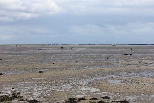 Wadden Sea during the low tide, lower water at the North Sea coast in summer.Watt bei der Ebbe, Niedrigwasser an der Nordseeküste im Sommer..