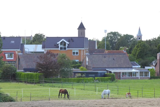 Partial view of Herkingen, a small village in the Netherlands.Teilansicht von Herkingen, ein kleines Dorf in den Niederlanden.