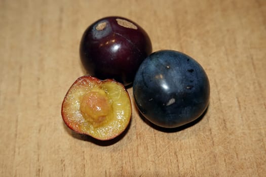 Kirschpflaumen (Prunus cerasifera)