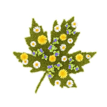 Flowery Grassy Leaf Shape Isolated on White Background 3D Render Illustration