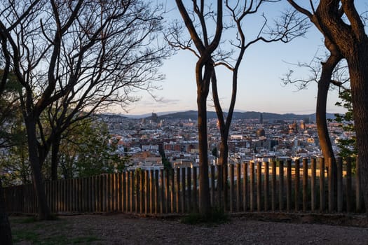 Barcelona, Spain: a spring view of the city from Montjuïc hill. Trees in the park and a wooden fence frame the image of the city in the background at sunset.