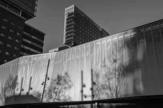 Black and white modern architecture in Barcelona (Spain), low angle point of view.  Natural light reflects the shadows of the surrounding streetlights and trees.