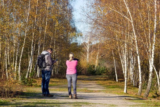 National Park Maasduinen in the Netherlands - people in the birch alley