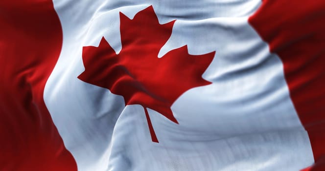 Close-up view of the canadian national flag waving in the wind. is a country in North America. Fabric textured background. Selective focus