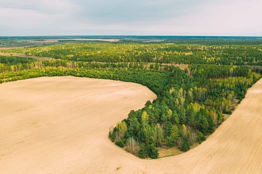 Aerial Top View Of Agricultural Landscape With Growing Forest Trees On Border With Field. Beautiful Rural Landscape In Bird's-eye View. Spring Field With Empty Soil.