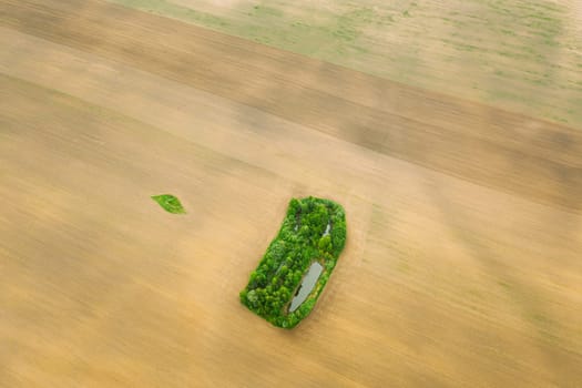 Small Green Natural Island With Green Grass, Forest And Small Pond In Spring Empty Rural Field Landscape. Agricultural Field. Aerial View.