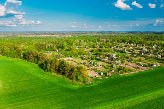Countryside Rural Green Field Landscape With Young Wheat Sprouts And Small Russian Village In Spring Summer Cloudy Day. Agricultural Field. Young Wheat Shoots. Aerial View.