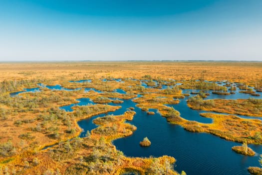Miory District, Vitebsk Region, Belarus. The Yelnya Swamp. Upland And Transitional Bogs With Numerous Lakes. Elevated View Of Yelnya Nature Reserve Landscape. Famous Natural Landmark.