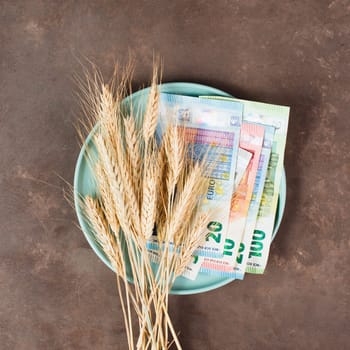 Plate with wheat and Euro banknotes, food shortage and increasing prices, poverty through inflation