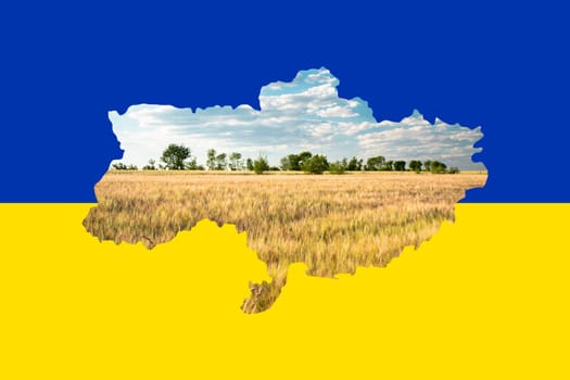 Wheat field in the shape of the Ukraine on a blue and yellow colored flag, food shortage caused by war