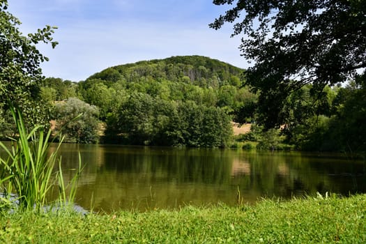 relaxing by a summer pond