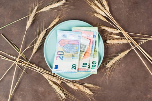 Plate with wheat and Euro banknotes, food shortage and increasing prices, poverty through inflation