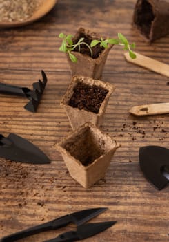 Vegetable and herbs seedlings growing in a biodegradable pots on wooden table close up. Urban Indoor gardening, homegrown plants, germination at home
