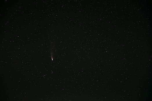 Comet Neowise C2020F3 In Night Starry Sky. Natural Night Sky Background.