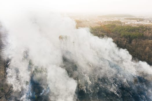 Aerial View. Spring Dry Grass Burns During Drought Hot Weather. Bush Fire And Smoke In Meadow Field. Wild Open Fire Destroys Grass. Nature In Danger. Ecological Problem Air Pollution. Natural Disaster
