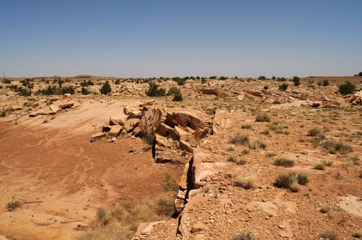 Scenic landscape of the ancient petrified forest in Arizona