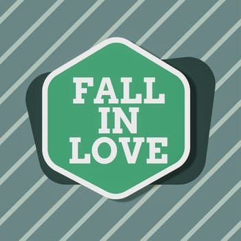 Inspiration showing sign Fall In Love, Conceptual photo Feeling loving emotions about someone else Romance Happiness Blank Hexagon And Rectangular Shapes For Promotion Of Business.