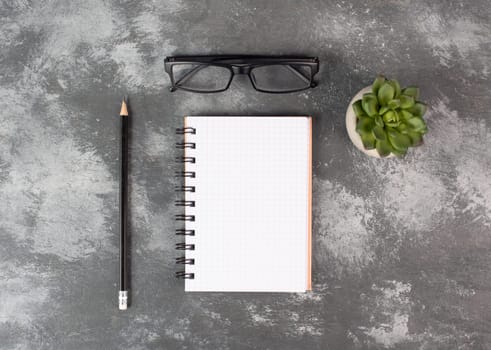 Empty notebook with a pen, eyeglasses and a cactus on a background, brainstorming for new ideas, writing a message, taking a break, home office desk