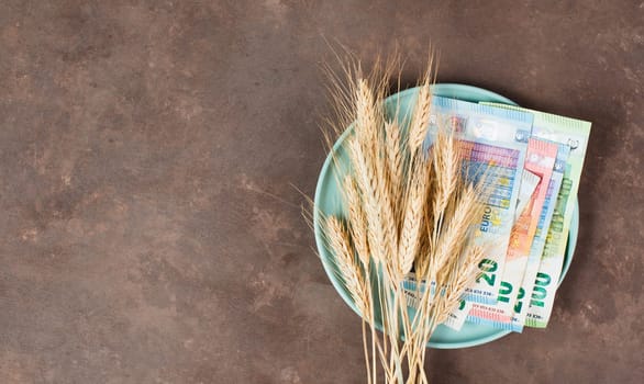 Plate with wheat and Euro banknotes, food shortage and increasing prices, poverty through inflation