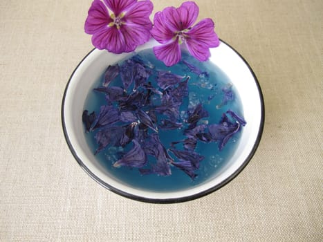 Blue dye bath with mallow flowers, blue plant color