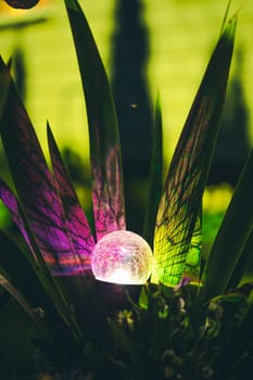Night View Of Flowerbed Illuminated By Energy-Saving Solar Powered Colorful Multi-colored Lantern On Yard. Beautiful Small Garden With Purple And Yellow Lights, Lamp In Flower Bed. Garden Design.