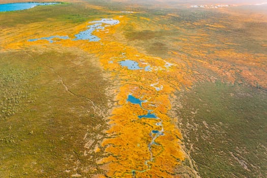 Miory District, Vitebsk Region, Belarus. The Yelnya Swamp. Upland And Transitional Bogs With Numerous Lakes. Elevated Aerial View Of Yelnya Nature Reserve Landscape. Famous Natural Landmark.