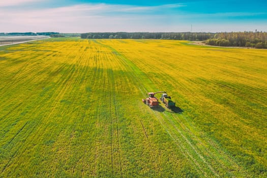 Aerial View Of Rural Landscape. Combine Harvester And Tractor Working Together In Field. Harvesting Of Oilseed In Spring Season. Agricultural Machines Collecting Blooming Rapeseeds Canola Colza. Elevated View.