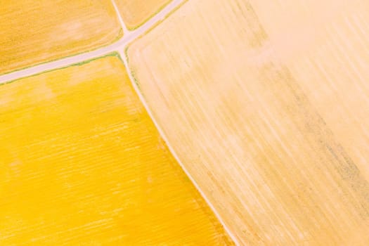 Multicolored Clusters Of Agricultural Fields Sown With Different Crops. Aerial View. Beginning Of Agricultural Spring Season. Countryside Rural Fields Landscape.