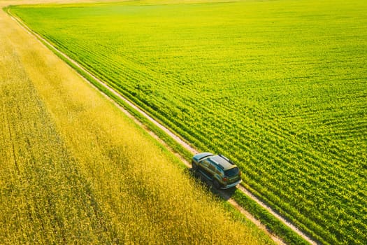 Aerial View Of Car SUV Parked Near Countryside Road In Spring Field Rural Landscape. Car Between Young Wheat And Corn Maize Plantation.
