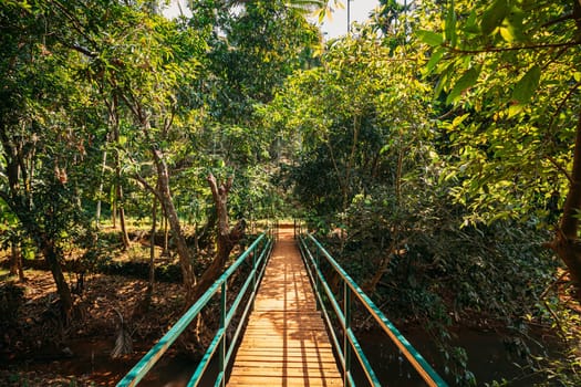 Goa, India. View Of Small Bridge Surrounded By Tropical Green Vegetation In Sunny Day.