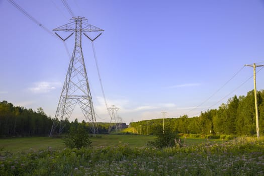 electric pillars in the forest power line electricity high voltage pylon towers