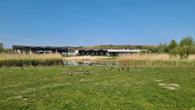 View over the sea from the dune over North Sea and canal in Ouddorp, Zeeland province, The Netherlands. Outdoor scene of coast in Europe nature.