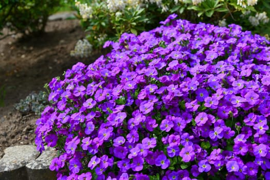 Greek blue cushion in bloom