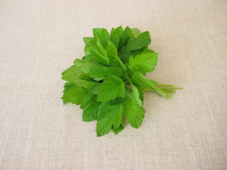 A bouquet of herbs with goutweed
