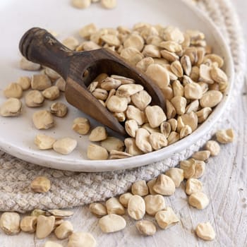 Scoop of raw dry Grass pea close up on wood. Healthy, protein source for vegan and vegetarian diet. Traditional Italian apulian cuisine ingredient. Legumes known as Cicerchia, Vetch, Blue Sweet Pea
