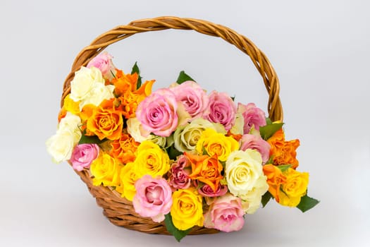 colorful roses in a basket