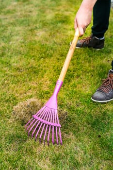 Cleaning up the grass with a rake. Aerating and scarifying the lawn in the garden. Improving the quality of the lawn by removing old grass and moss.