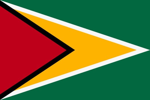 A Guyana flag background flag illustration red yellow green star black