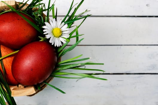 Top view of colored red easter eggs in basket with green grass and daisy flower on wooden white table with copyspace.
