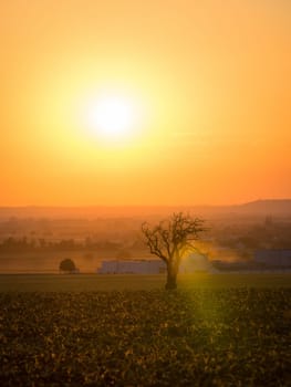 Rural misty meadow at sunrise with an orange glow. Relaxing natural landscape at dawn with bare autumn trees