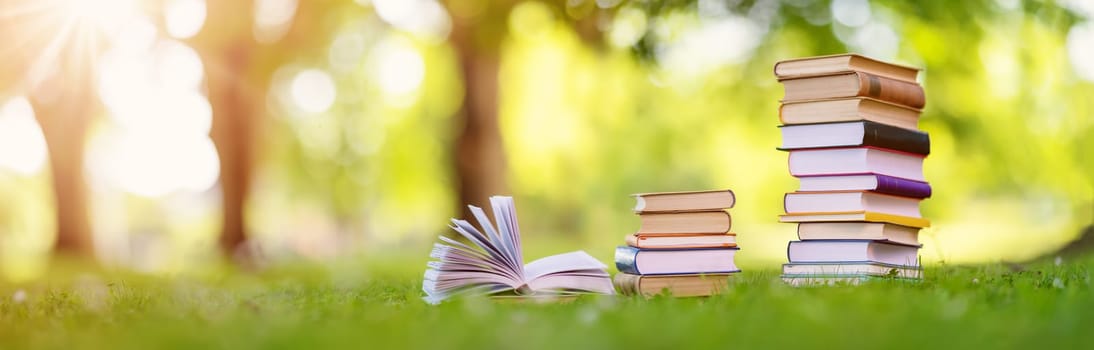 Stacks of the different books are on the green grass in the park. Concept of the learning, reading, studying and back to school.